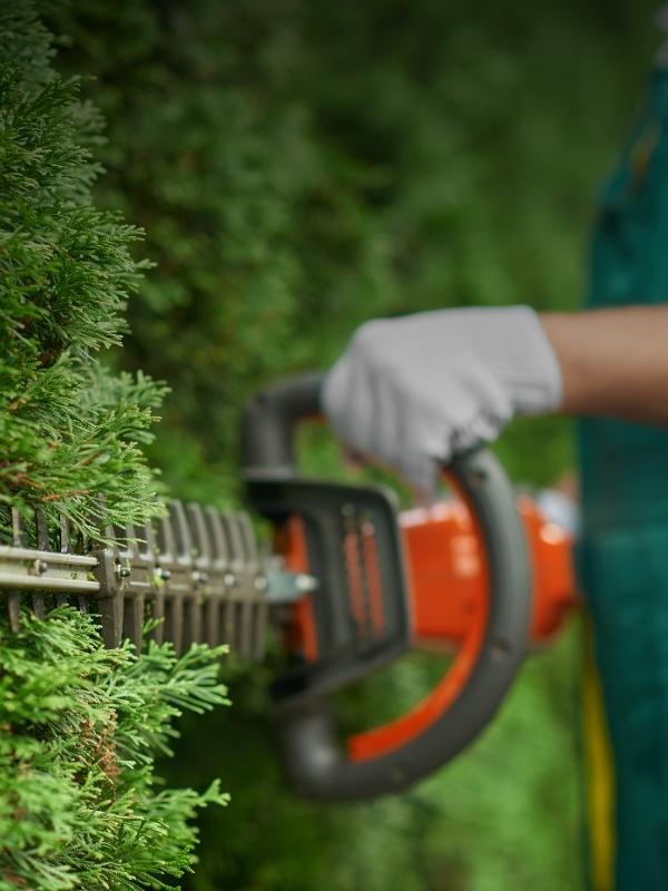 MOTORZĀĢA UN KRŪMGRIEŽA OPERATORS