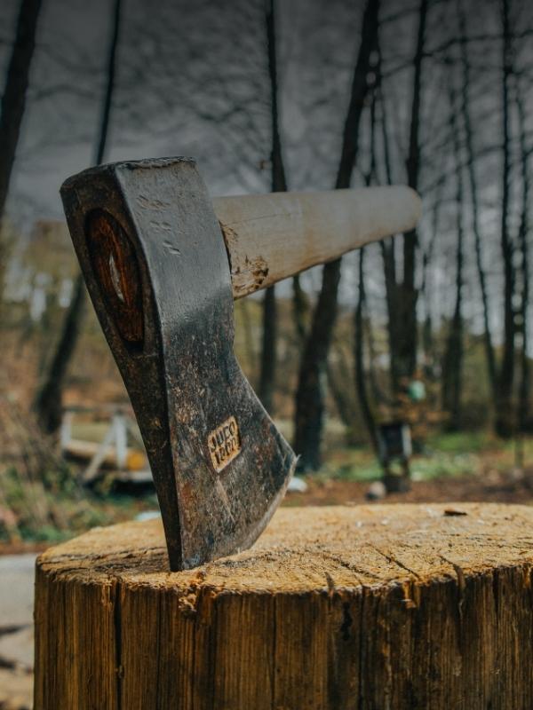 PAMATLIETAS, KAS JĀŅEM VĒRĀ PLĀNOJOT KOKU CIRŠANU PRIVĀTMEŽĀ