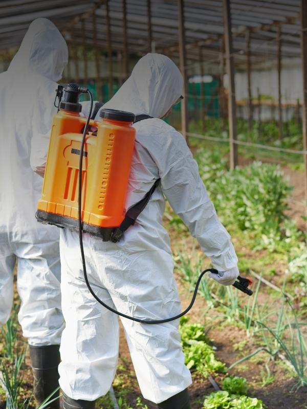 PAMATAPMĀCĪBAS PROGRAMMA AUGU AIZSARDZĪBAS LĪDZEKĻU LIETOŠANAS OPERATORIEM